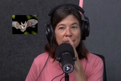 ¿Hay una colonia de murciélagos en una facultad de Rosario? Cómo tomó el hecho María O'Donnell
